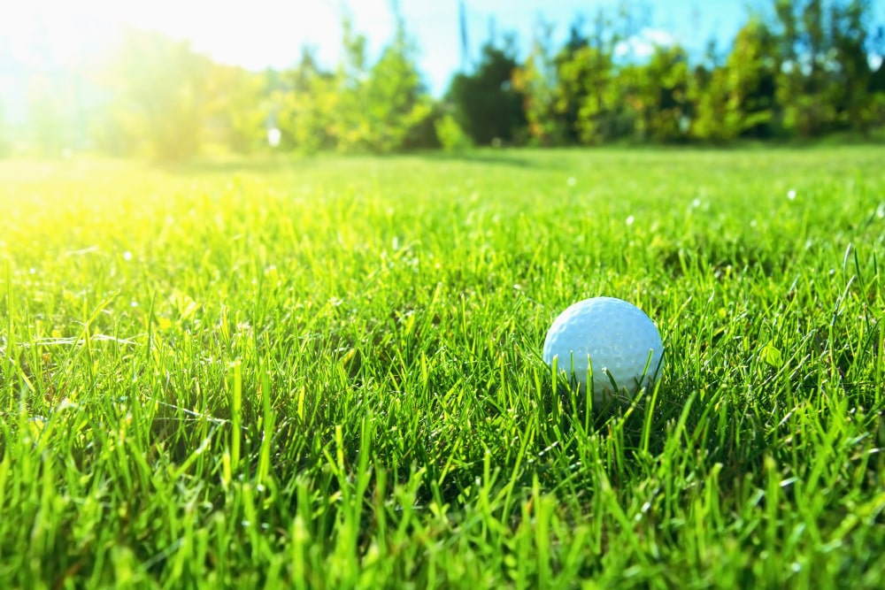 5 Bagian, Luas dan Ukuran Lapangan Golf, Info Lengkap!