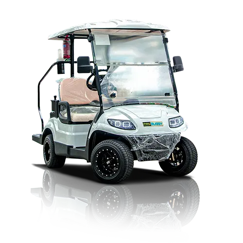 2 Seat Lifted Golf Cart